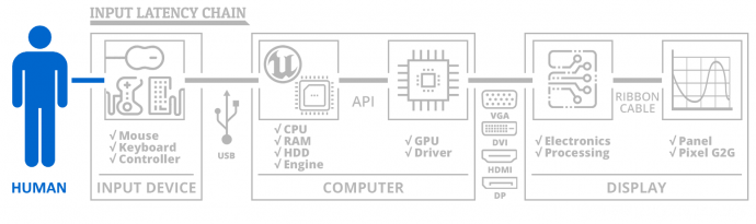 Input Latency Chain: Human Element